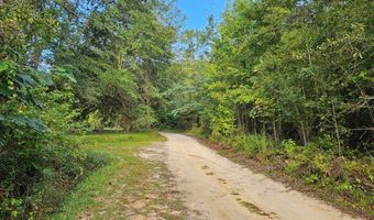 TBD Plowden Mill Road Tract D, Alcolu, SC 29001