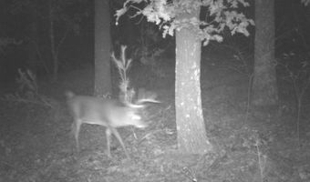 8752 HWY A, Almond, WI 54909