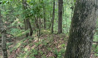 Sardis Lake Drive, Batesville, MS 38655