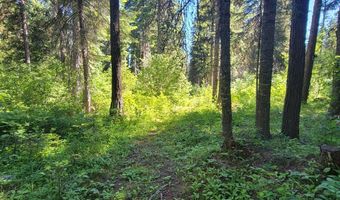 671 W Mountain Rd, Cascade, ID 83611
