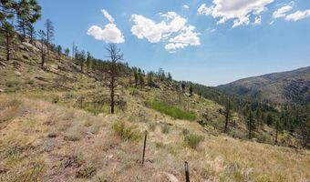 693 Cougar Dr, Bellvue, CO 80512