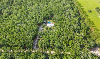 6679 NW 27th Pl, Bell, FL 32619