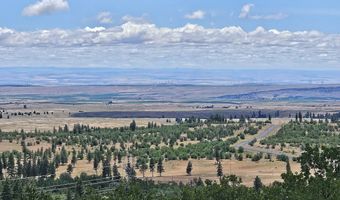 67 TIMBER Ln, Bickleton, WA 99322