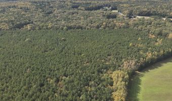 RT 317, Georgetown, DE 19947