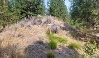 40 Acres Off 36N06, Adin, CA 96006