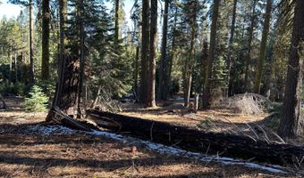 550 Cabbage Patch Log Rd, South Lake Tahoe, CA 95223