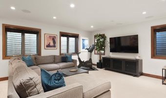 602 W Hallam St, Aspen, CO 81611