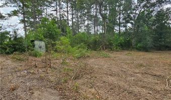 Lot B - Vining Road, Amite, LA 70422