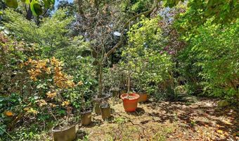 324 Jaunell Rd, Aptos, CA 95003