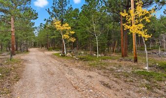 County Road 84 W, Allenspark, CO 80510