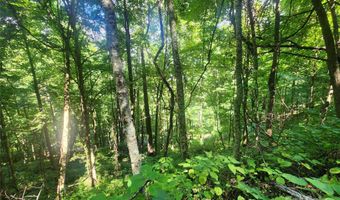 Jacks Knob Road, Barnardsville, NC 28709