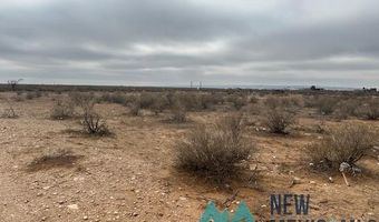 1327 Mcfarland Rd, Carlsbad, NM 88220