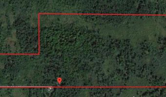 6002 Wildwood Dr, Alger, MI 48610