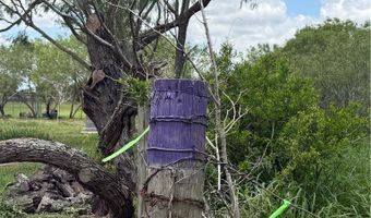 County Road 137, Alice, TX 78332