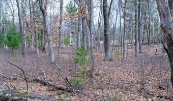 255 45 Ac Dover Dr, Adams, WI 53910