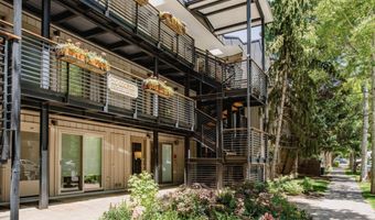 210 E Cooper Avenue 3G, Aspen, CO 81611