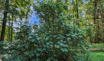 429 LEE ROAD 394, Auburn, AL 36832