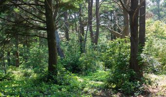 88677 WHITING Ln, Bandon, OR 97411