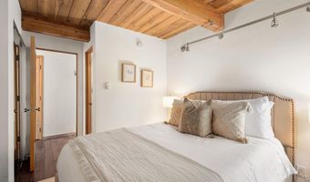 1024 E Cooper Avenue 3A, Aspen, CO 81611