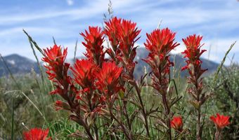 Rio Lane, Belfry, MT 59008