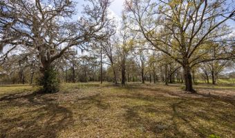 3670 NW 20TH Ave, Bell, FL 32619