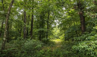 1569 Spider K Rd, Anderson, MO 64831