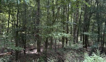 E River Road, Anguilla, MS 38721