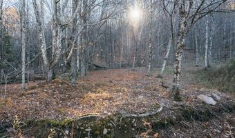 1361 Weaver Hollow Rd, Andes, NY 13731