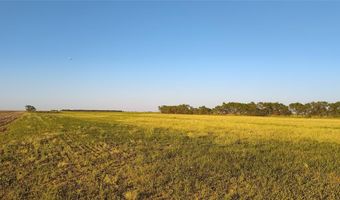 5428 CR 364, Anson, TX 79501