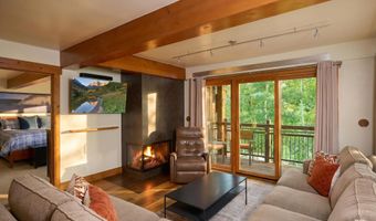 131 E Durant Ave 410, Aspen, CO 81611