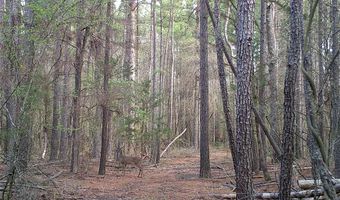 0000 Cr-3401, De Kalb, TX 75559