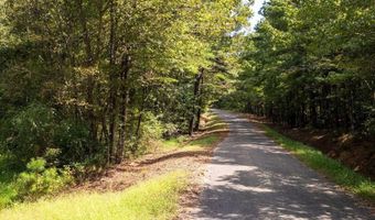 62 ACRES TONEY Dr 62 ACRES, Altoona, AL 35952
