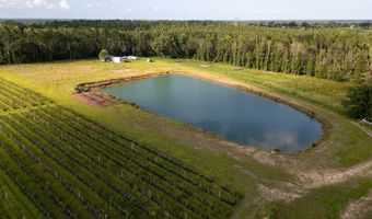 1054 Penny Morris Rd, Baxley, GA 31513