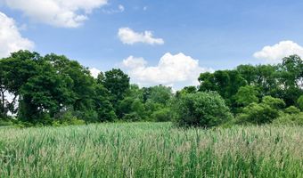 9250 92nd St SE, Alto, MI 49302