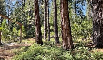 3229 Ponderosa Rd, Arnold, CA 95223