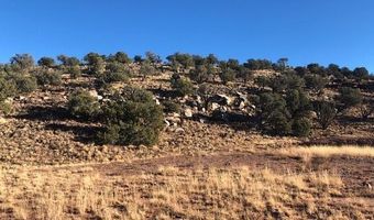 Lot 13 N8526, Concho, AZ 85924
