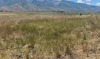 80 21 Acres A, Lamoille, NV 89828
