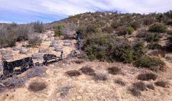 40690 Apple Rd, Anza, CA 92539
