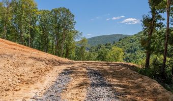 Lot 20 Clear Fork Creek Road, Bastian, VA 24314
