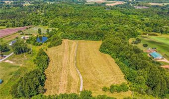 157 Buttercup Ln, Ararat, NC 27007