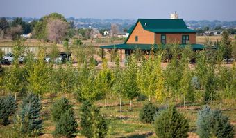 9001 2100 Rd, Austin, CO 81410