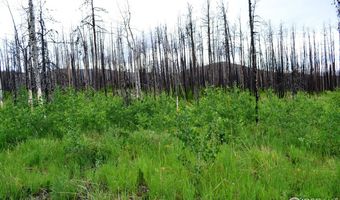 2025 Granite Rd, Bellvue, CO 80512