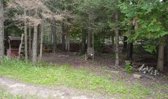 5010 Wessel Rd, Alpena, MI 49707