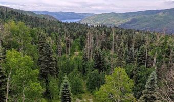 4556 Middle Mountain Rd, Bayfield, CO 81122