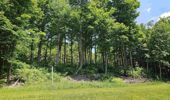 Sweeney Lane lot 49/50, Cambridge, VT 05464