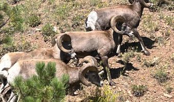 56 Co Rd 2266, Alpine, AZ 85920