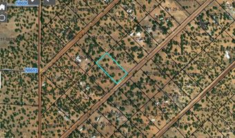 23 Co Rd 8021, Concho, AZ 85924