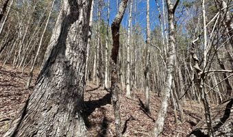3 County Road 5112, Ethel, MS 38829