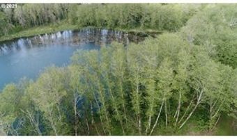 15116 NE GRANTHAM Rd, Amboy, WA 98601