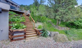 21249 Two Rivers Rd, Basalt, CO 81621